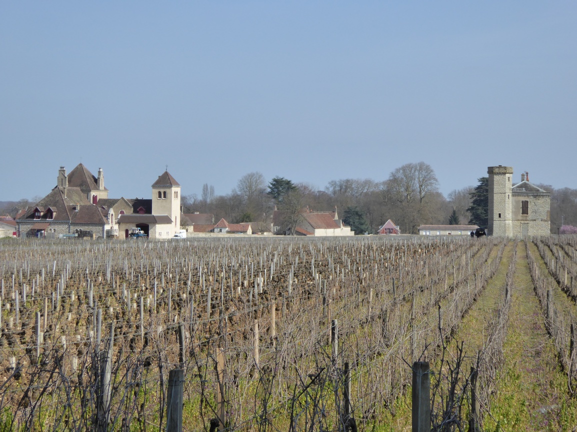 Knee-Deep in Burgundy